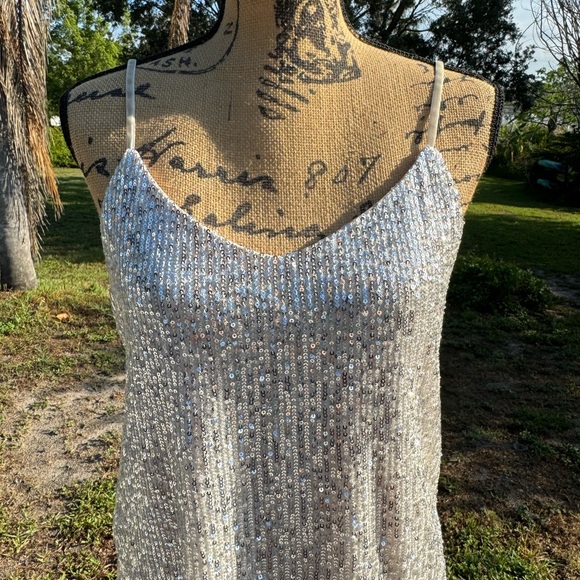 BB Dakota Silver Champagne Sequin Spaghetti Strap Top Size Medium - Picture 3 of 12
